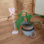 Decoración para Plantas