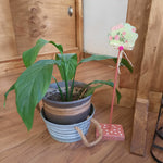 Decoración para Plantas