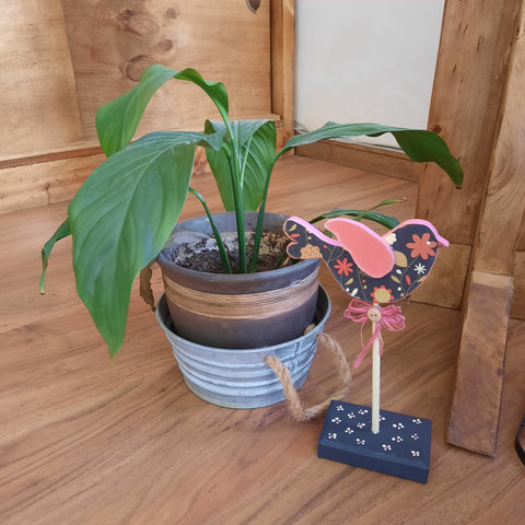 Decoración para Plantas