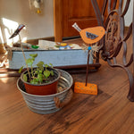 Decoración para Plantas