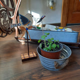 Decoración para Plantas